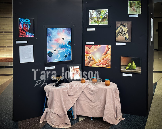 2021 DP2 Art Exhibition - TJP (10 of 68)