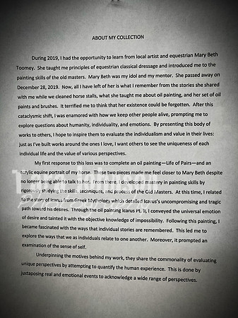 2021 DP2 Art Exhibition Selections - TJP (39 of 107)