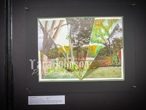 2021 DP2 Art Exhibition Selections - TJP (44 of 107)
