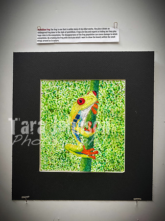 2021 DP2 Art Exhibition Selections - TJP (53 of 107)