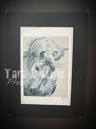 2021 DP2 Art Exhibition Selections - TJP (51 of 107)