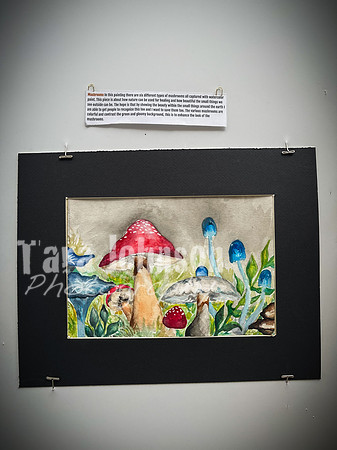 2021 DP2 Art Exhibition Selections - TJP (58 of 107)