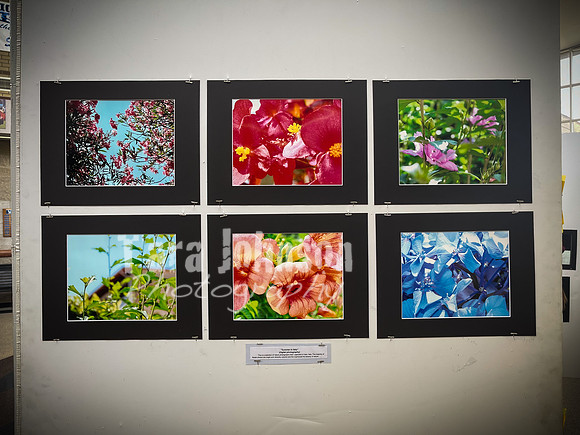 2021 DP2 Art Exhibition Selections - TJP (63 of 107)