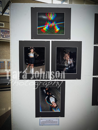 2021 DP2 Art Exhibition Selections - TJP (66 of 107)