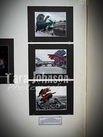 2021 DP2 Art Exhibition Selections - TJP (67 of 107)