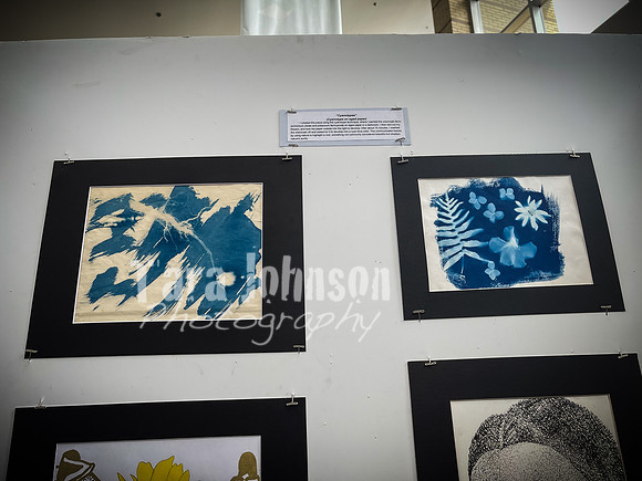 2021 DP2 Art Exhibition Selections - TJP (69 of 107)