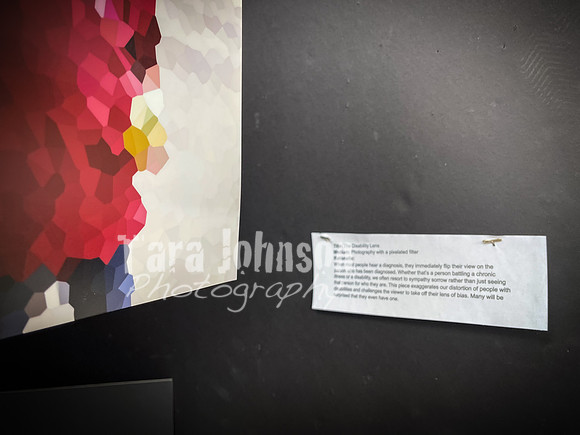 2021 DP2 Art Exhibition Selections - TJP (87 of 107)