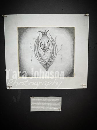 2021 DP2 Art Exhibition Selections - TJP (91 of 107)