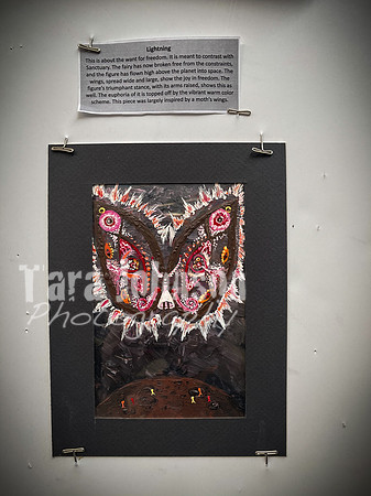 2021 DP2 Art Exhibition Selections - TJP (94 of 107)