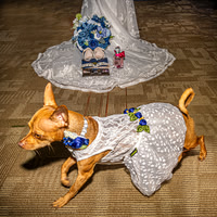 Mitch & Kelly - Venues - TJP (12 of 36)
