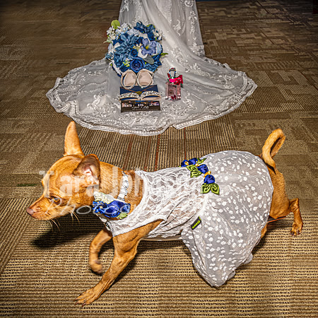 Mitch & Kelly - Venues - TJP (12 of 36)