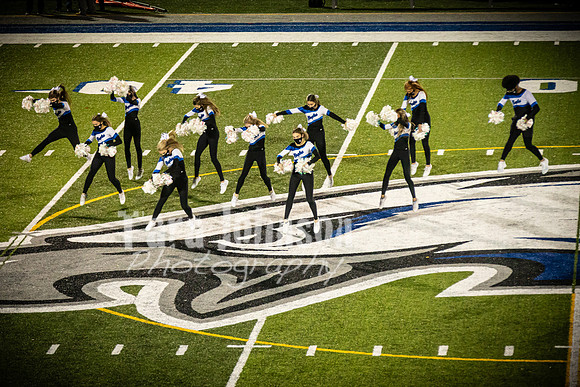 2020 LHS Pom - TJP (10 of 94)