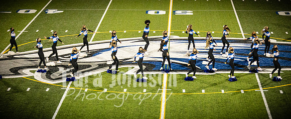 2020 LHS Pom - TJP (41 of 94)