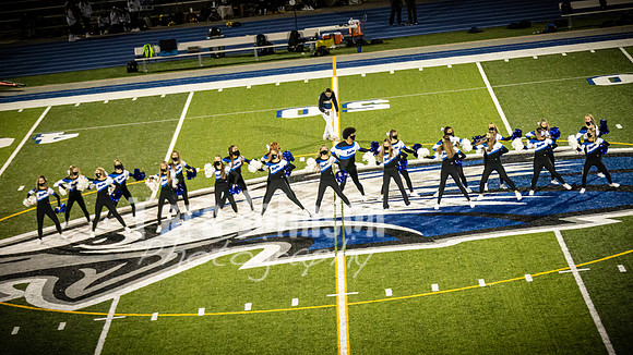 2020 LHS Pom - TJP (63 of 94)