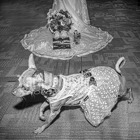 Mitch & Kelly - Highlights - BW - TJP (28 of 95)
