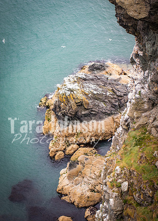 Howth Trip (36 of 55)