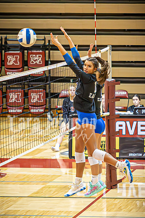 24 LHS Vball vs. MHS 9-19 - TJP (16 of 156)