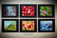 2021 DP2 Art Exhibition - TJP (7 of 68)