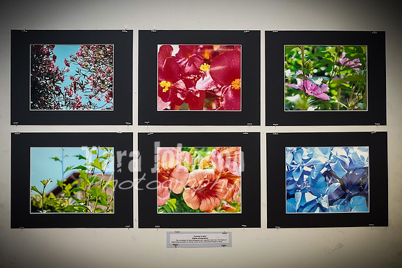 2021 DP2 Art Exhibition - TJP (7 of 68)
