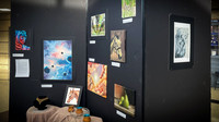 2021 DP2 Art Exhibition - TJP (12 of 68)