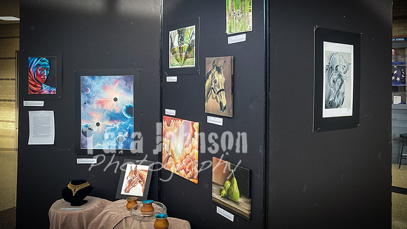 2021 DP2 Art Exhibition - TJP (12 of 68)