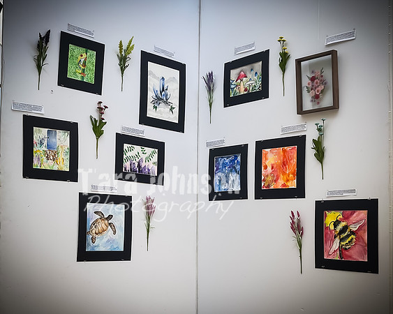 2021 DP2 Art Exhibition - TJP (14 of 68)