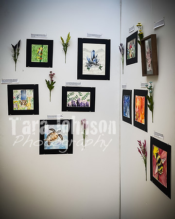 2021 DP2 Art Exhibition - TJP (15 of 68)