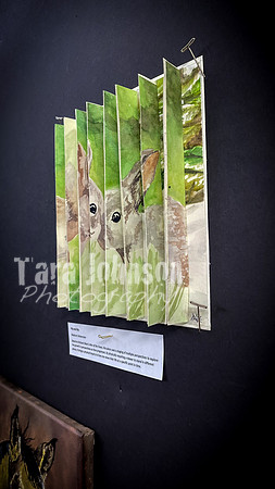 2021 DP2 Art Exhibition Selections - TJP (48 of 107)