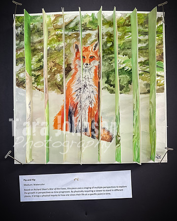 2021 DP2 Art Exhibition Selections - TJP (49 of 107)