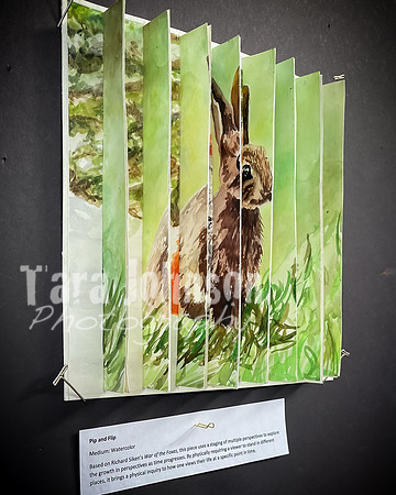 2021 DP2 Art Exhibition Selections - TJP (50 of 107)