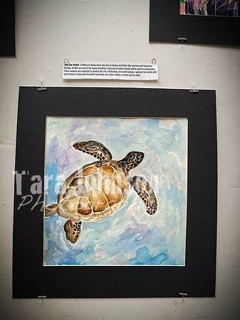 2021 DP2 Art Exhibition Selections - TJP (56 of 107)
