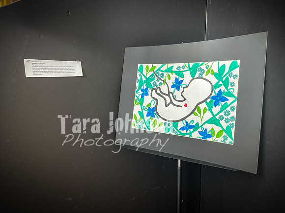 2021 DP2 Art Exhibition Selections - TJP (82 of 107)