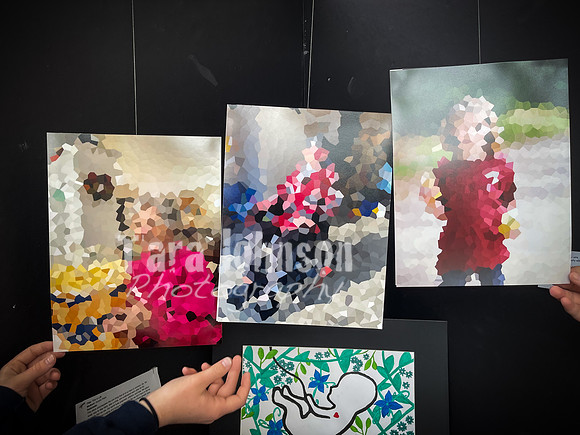 2021 DP2 Art Exhibition Selections - TJP (84 of 107)