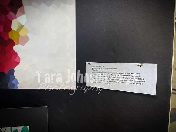 2021 DP2 Art Exhibition Selections - TJP (88 of 107)