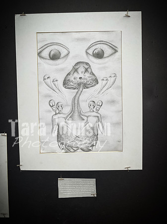 2021 DP2 Art Exhibition Selections - TJP (89 of 107)