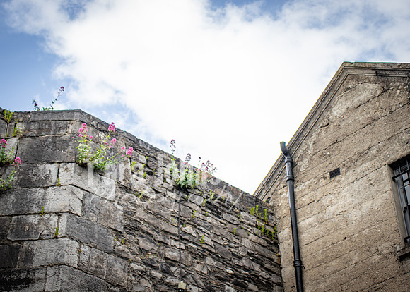 Kilmainham Gaol Jail Field Trip (25 of 47)