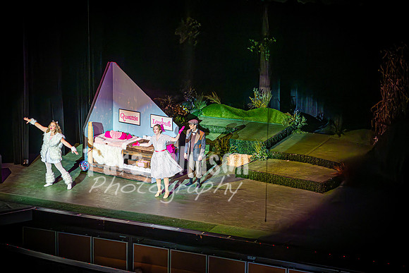 2024 MTC - Honk - Senior Show (Thursday) - TJP (187 of 360)