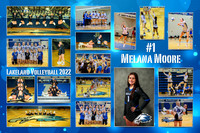 2022 LHS VB Senior Collage-#1