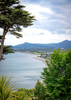 Killiney Hill Hike - Full Collection (15 of 77)