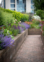 Dublin Castle - The Garden (17 of 36)
