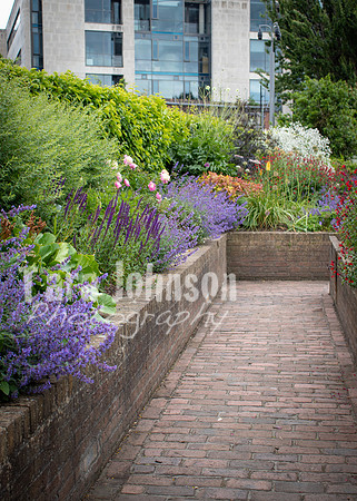 Dublin Castle - The Garden (17 of 36)