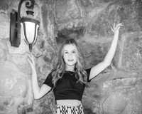 V. Lakin - BW