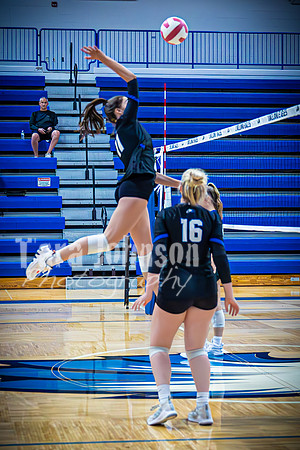 2023 LHS Girls Vball vs. Tri 8-30 - TJP (2 of 182)