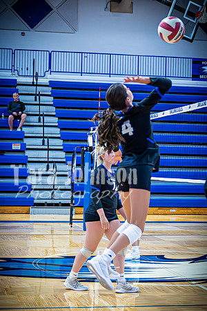 2023 LHS Girls Vball vs. Tri 8-30 - TJP (3 of 182)