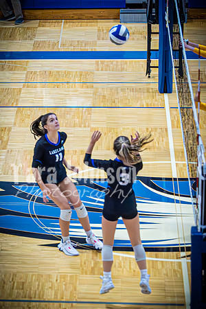 2023 LHS Girls Vball vs. Tri 8-30 - TJP (172 of 182)