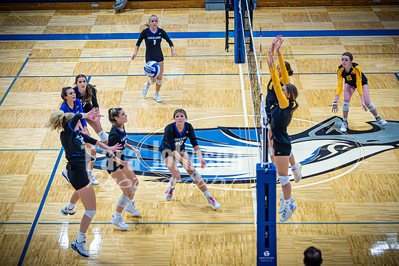 2023 LHS Girls Vball vs. Tri 8-30 - TJP (177 of 182)