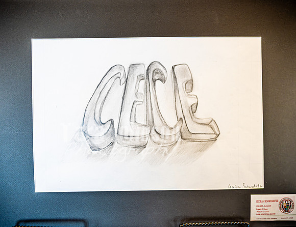2025 OLSM Art Show - Art Selections - TJP (52 of 237)