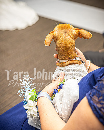 Mitch & Kelly - Bride & Groom - TJP (94 of 212)