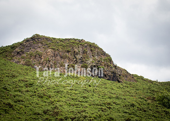 Edinburgh - Scotland Trip (88 of 177)
