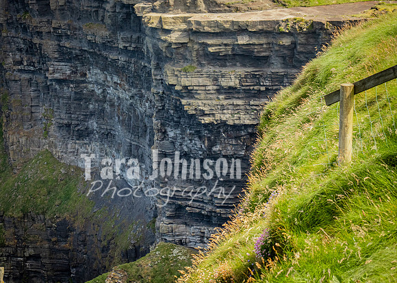Cliffs of Moher Trip (48 of 96)
